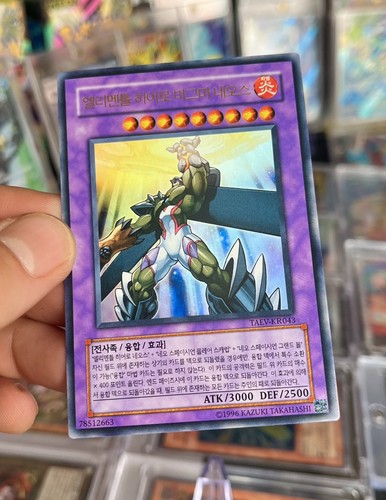 2007 elementar held - elementar-held, magma